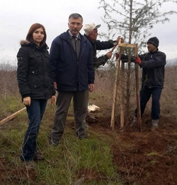 Taraklı Yolu Ağaçlandırılıyor…