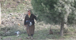 Taraklı Yolu Ağaçlandırılıyor…