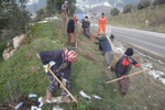 Taraklı Yolu Ağaçlandırılıyor…