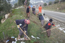 Taraklı Yolu Ağaçlandırılıyor…