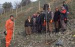 Taraklı Yolu Ağaçlandırılıyor…