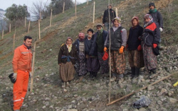 Taraklı Yolu Ağaçlandırılıyor…