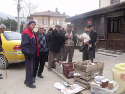 Yılbaşı hindileri pazarda görücüye çıktı!