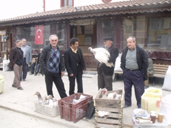 Yılbaşı hindileri pazarda görücüye çıktı!