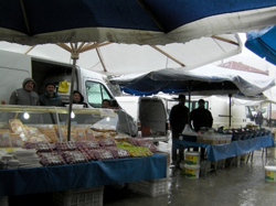 Taraklı'da  Kar Yağışı Üşüttüi