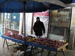 Taraklı'da  Kar Yağışı Üşüttüi