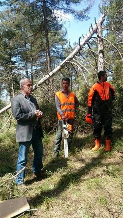 AĞAÇ KESME VE BOYLAMA OPERATÖRLÜĞÜ KURSUNA KATILANLAR ORMANDA UYGULAMA