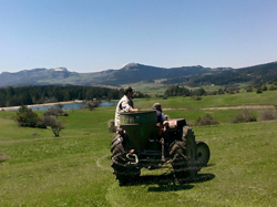 YAYLA MERALARINDA GÜBRELEME ÇALIŞMASI: