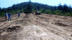 Taraklı’da Sapanca Meslek Yüksek Okulu Hatıra Ormanı