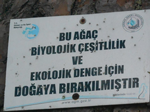 Üzerinde Tarihin İzleri Var...