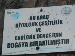 Üzerinde Tarihin İzleri Var...