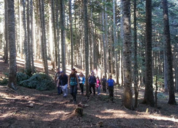 Doğa yürüyüşlerine Karagöl'den başladılar