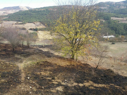 İtfaiye Ekipleri Tehlikeyi Büyümeden Önledi