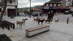 Meydan Onların…