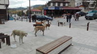 Meydan Onların…