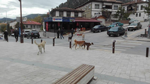 Meydan Onların…