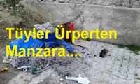 Papatya Sokak’ta Tüyler Ürperten Manzara