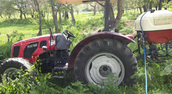Mezarlıkta Zararlı Otlarla Mücadele