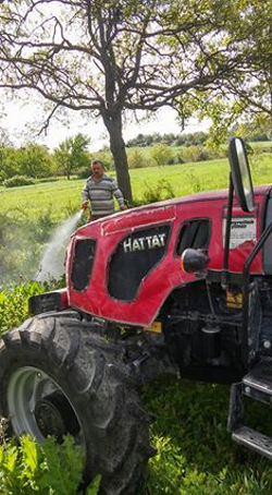 Mezarlıkta Zararlı Otlarla Mücadele
