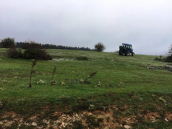 YAYLA MERALARINDA GÜBRELEME ÇALIŞMASI: