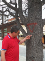 Allah Rızası için Ağaçlara İlgi