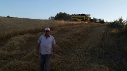 Arpa ve Buğday'da Hasat Başladı.