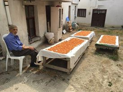 103 yaşındaki Muzaffer Gezer'in Tarhana Mesaisi