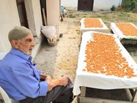 103 yaşındaki Muzaffer Gezer'in Tarhana Mesaisi