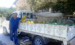 Taraklı'da Kurulan Üretici pazarları hem sağlıklı hem ucuz