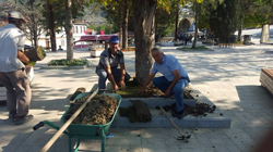 Meydan'da Çimlendirme Çalışması