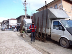 Pazarda Fidan Satışları Rağbet Görüyor