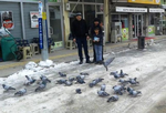 KARDA KIŞ'DA KUŞLARI UNUTMUYOR
