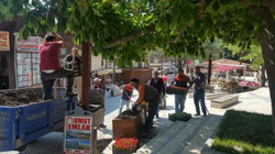 Meydan Çiçeklendirildi