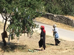 Gerçek Sanan Vatandaşlar Dua edip dilekte bulunarak Çaput Bağlıyor