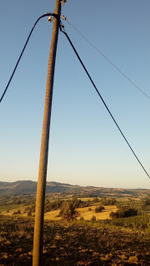 Telefon Teli Hırsızlığı