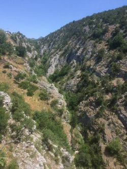 Yıllardır İhmal Edilen Yayla Yolu: