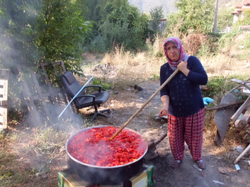 Evlerde Salça Yapımı Telaşı