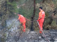 Yazık Oldu... 