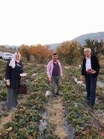 Yazdan Kalma Gün Yaşadılar.