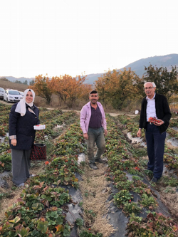 Yazdan Kalma Gün Yaşadılar.