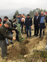TARAKLI’DA DA FİDANLAR TOPRAKLA BULUŞTURULDU