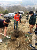 TARAKLI’DA DA FİDANLAR TOPRAKLA BULUŞTURULDU