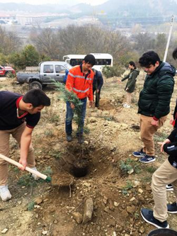 TARAKLI’DA DA FİDANLAR TOPRAKLA BULUŞTURULDU