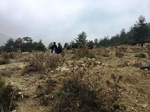 TARAKLI’DA DA FİDANLAR TOPRAKLA BULUŞTURULDU