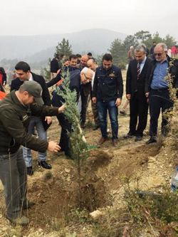 TARAKLI’DA DA FİDANLAR TOPRAKLA BULUŞTURULDU