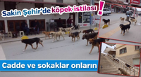  Cadde ve Sokaklar Onların.