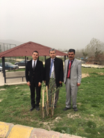 Zeytin Fidanları Toprakla Buluştu.