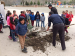 Okul Bahçesine Zeytin Ağacı