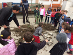 Okul Bahçesine Zeytin Ağacı