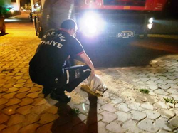 İtfaiyeden Gece Yarısı Yavru Köpek Kurtarma Operasyonu